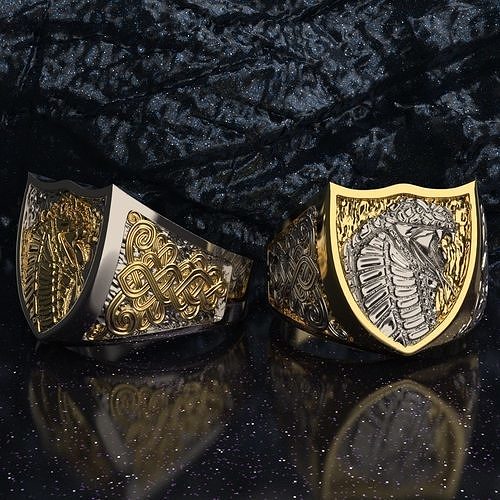 Ring snake 3D print model