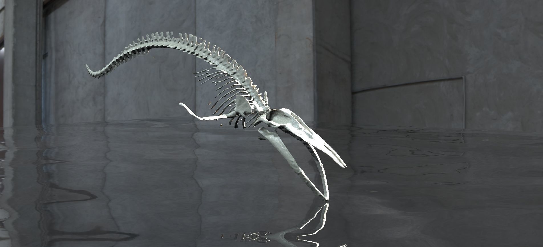 Dinosaur Bones 3D model_1