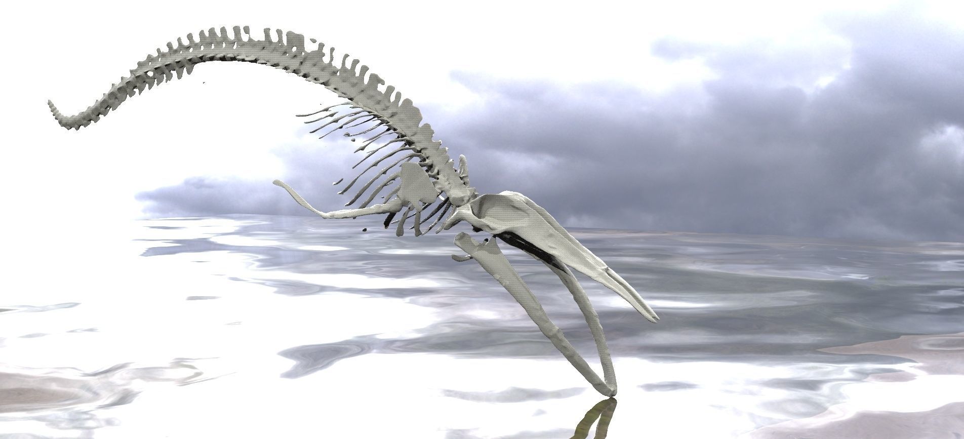 Dinosaur Bones 3D model_6