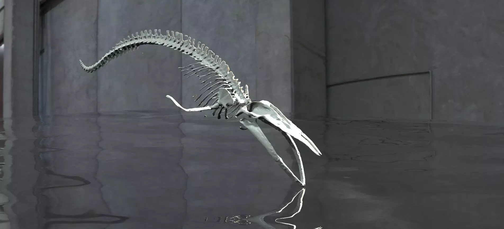 Dinosaur Bones 3D model_0