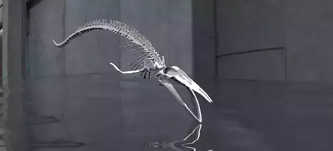 Dinosaur Bones 3D model