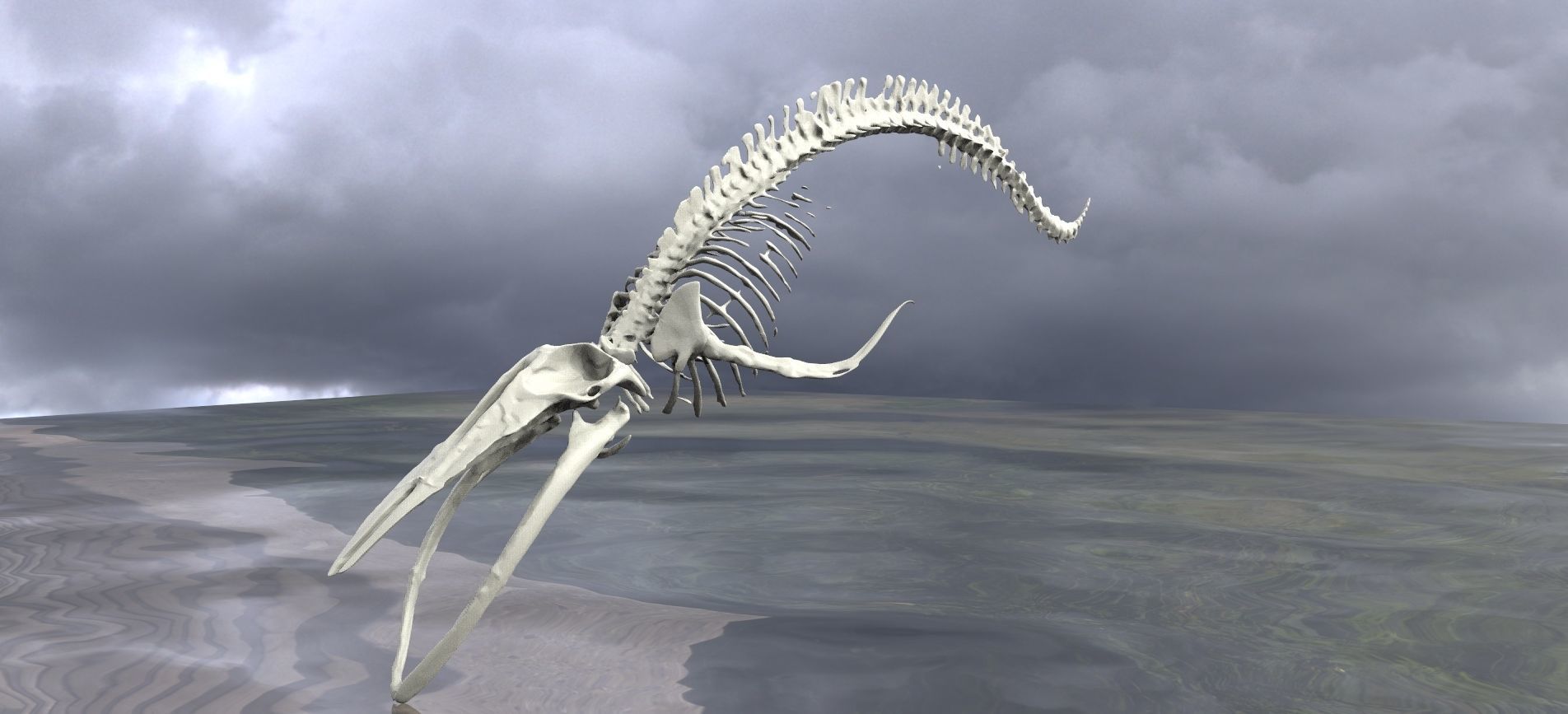 Dinosaur Bones 3D model_4