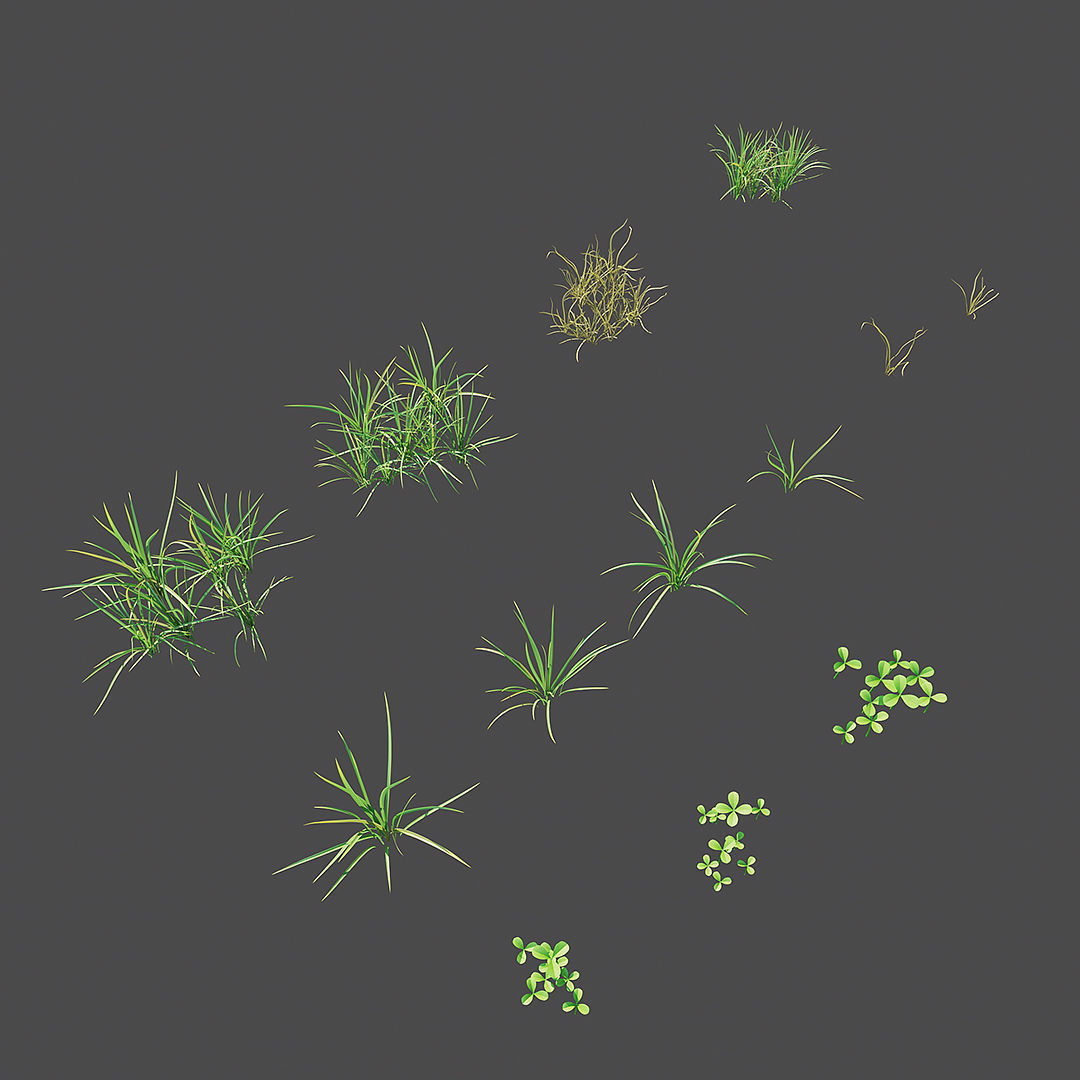 Summer Grass 01 3D model_3