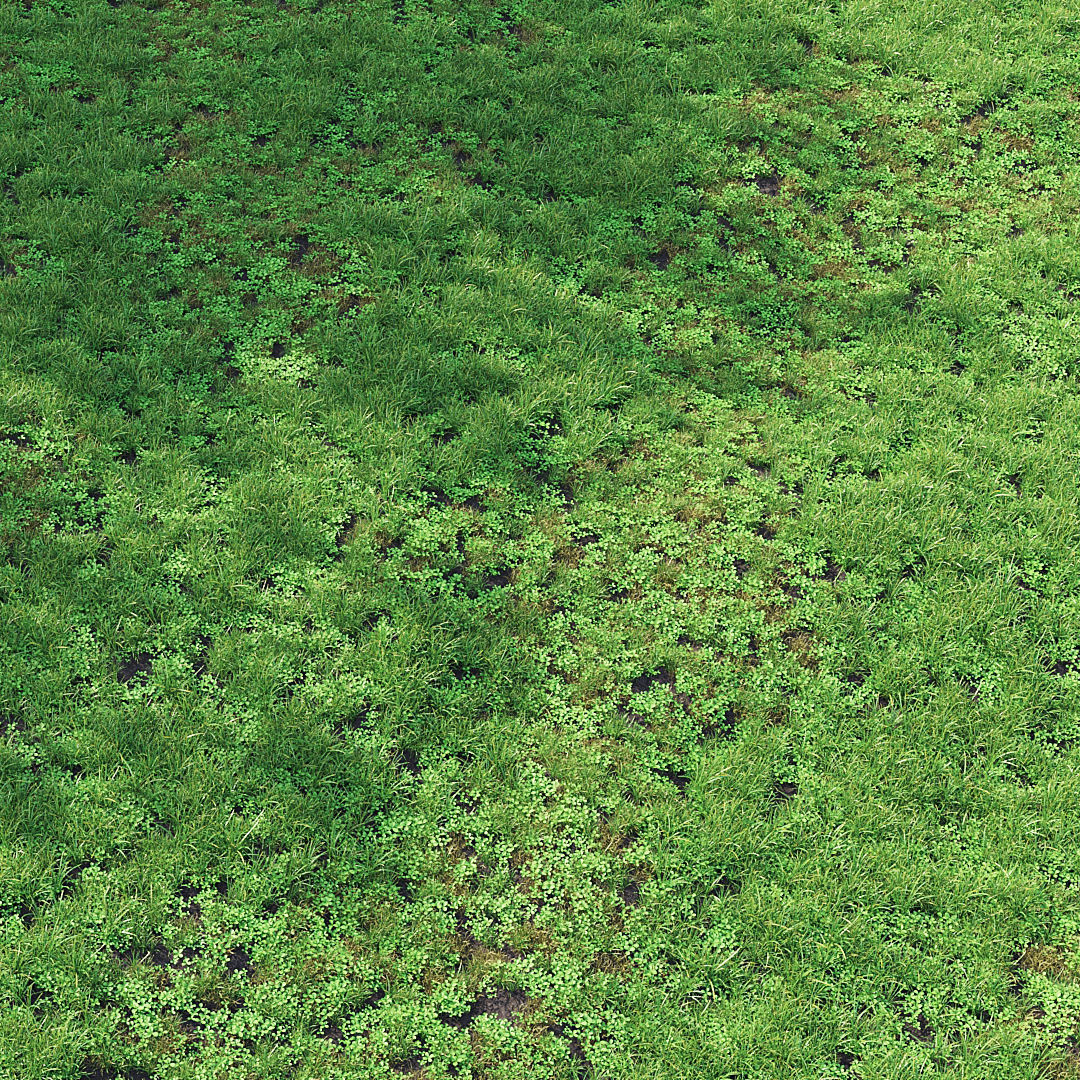 Summer Grass 01 3D model_2