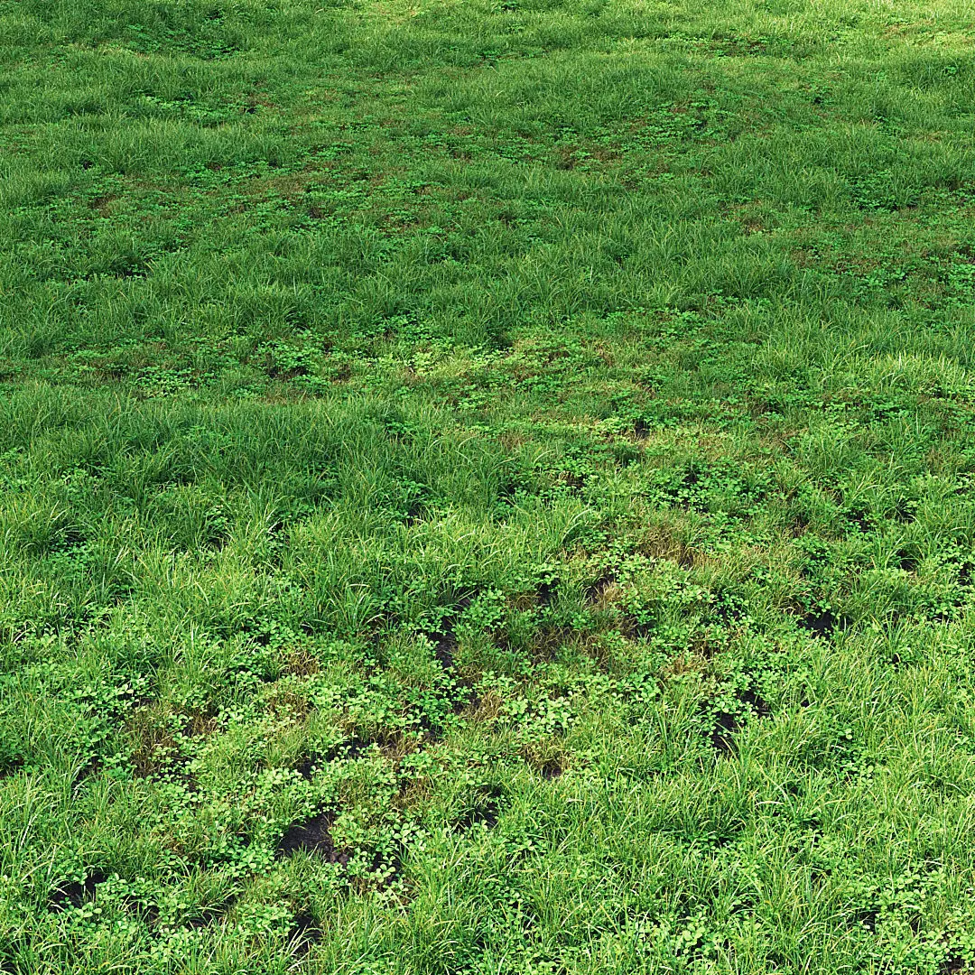 Summer Grass 01 3D model_0