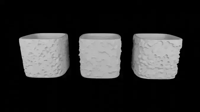 Multipurpose  Containers Collection