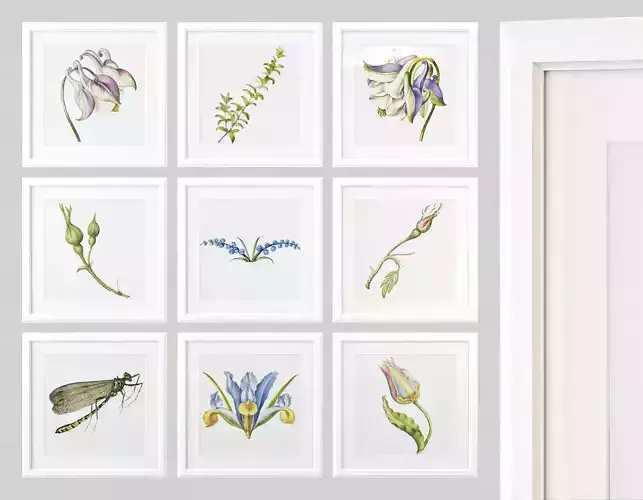 Paintings with flowers 3D model