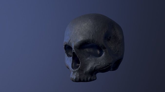 Skull Free 3D model