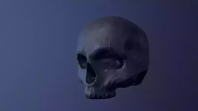 Skull
