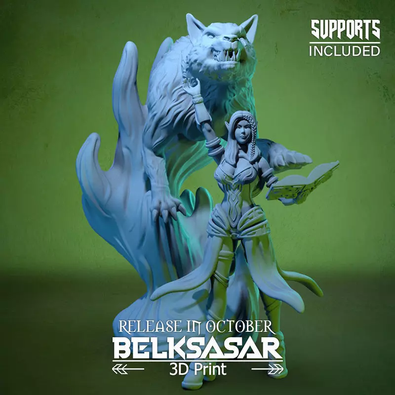 Summoner of the Wolf Spirit 3D print model_0