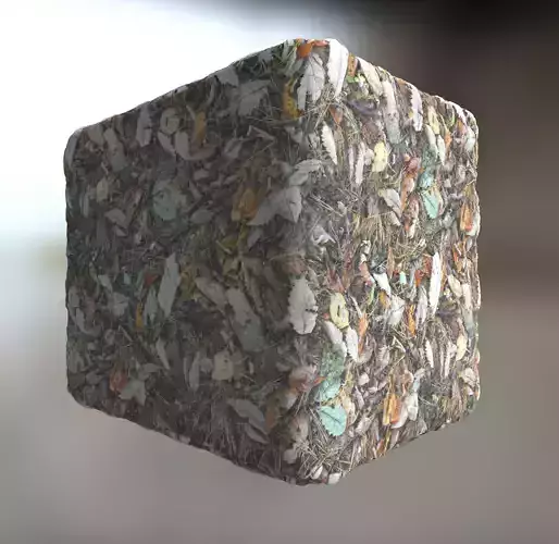Forest Floor Seamless Material