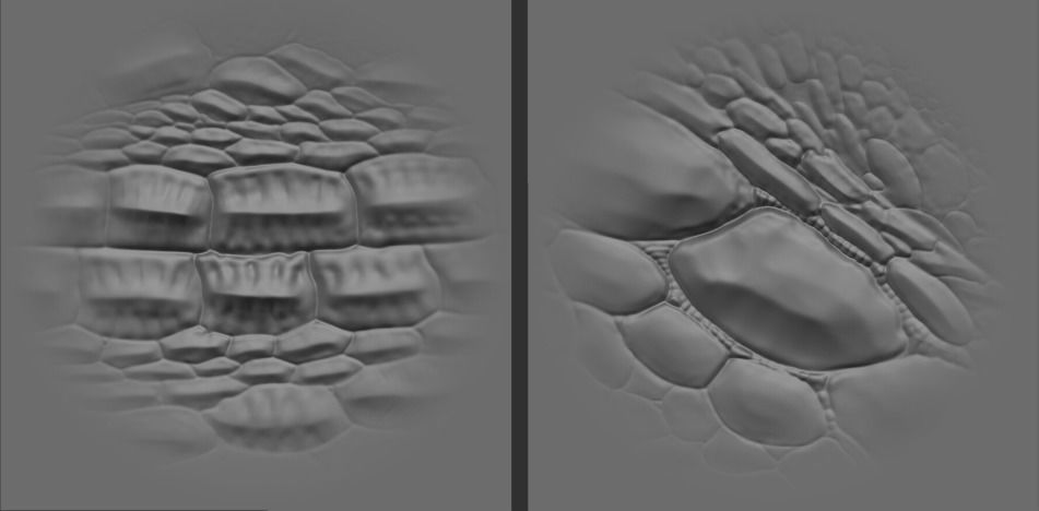 17 Reptile Skin Scale Alphas    Dragon Lizard Crocodile Snake 3D model_3