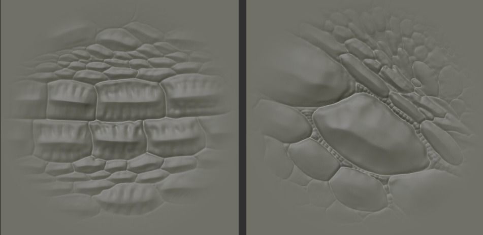 17 Reptile Skin Scale Alphas    Dragon Lizard Crocodile Snake 3D model_10