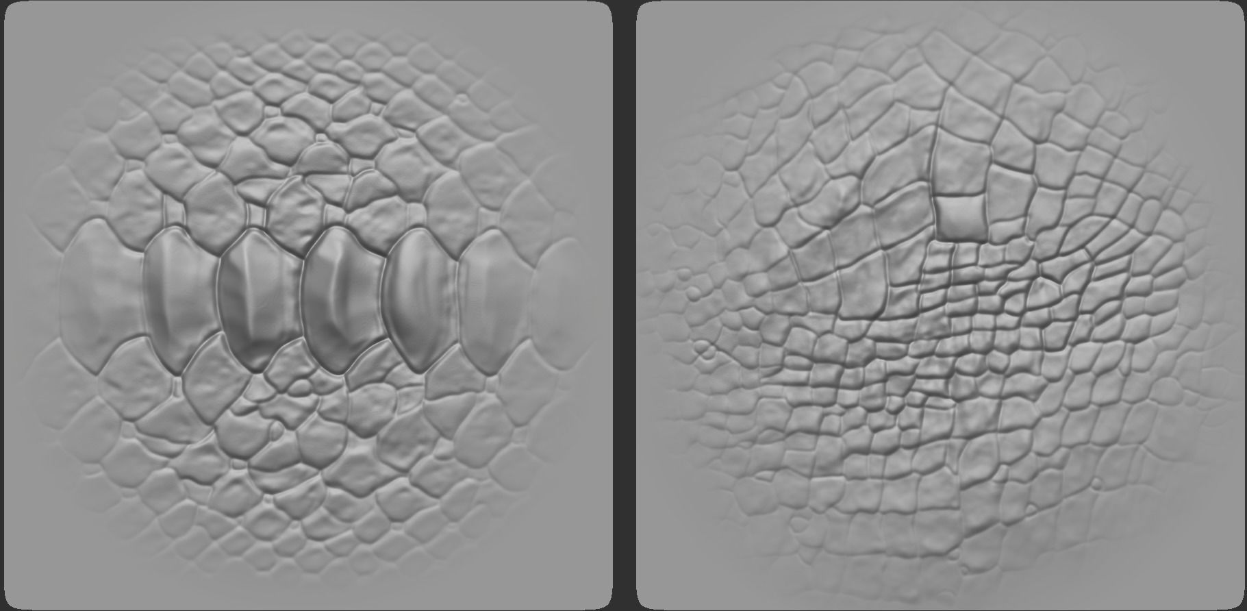 17 Reptile Skin Scale Alphas    Dragon Lizard Crocodile Snake 3D model_1