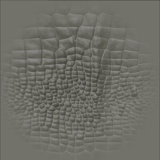 17 Reptile Skin Scale Alphas    Dragon Lizard Crocodile Snake 3D model_9