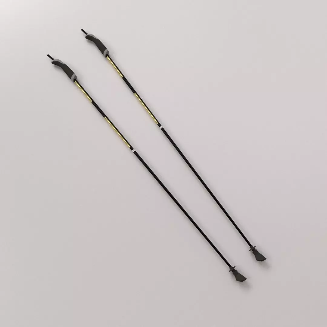 Walking Pole 3D model