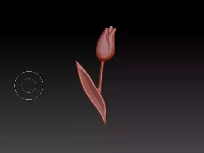 Tulip