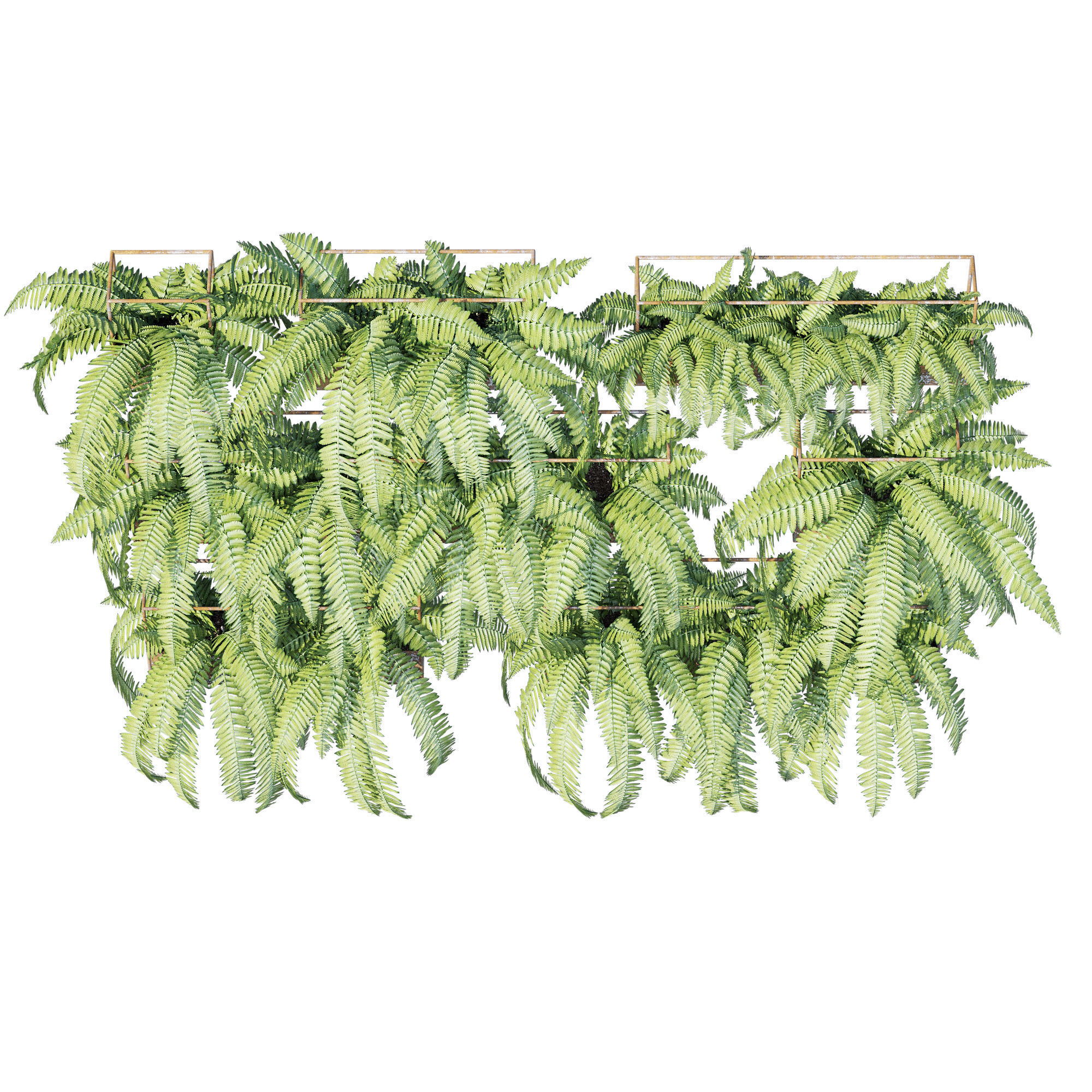 Planter box fern 3D model_3