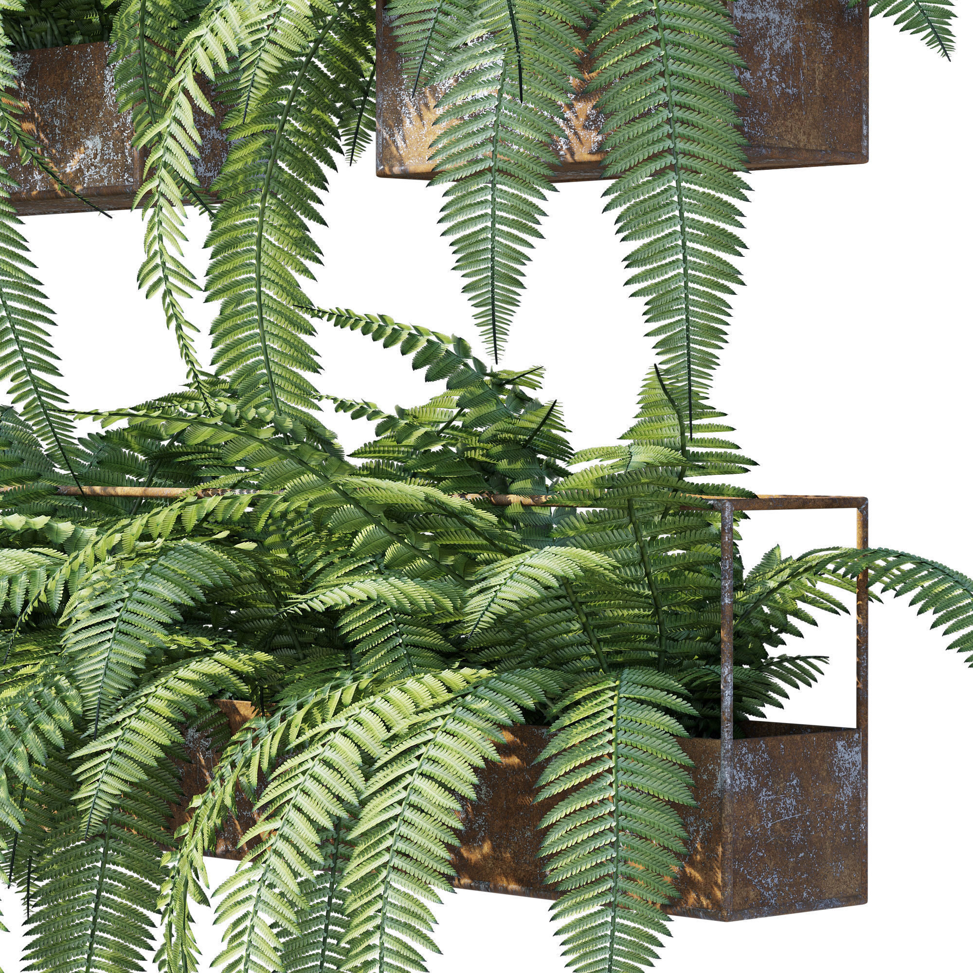 Planter box fern 3D model_5