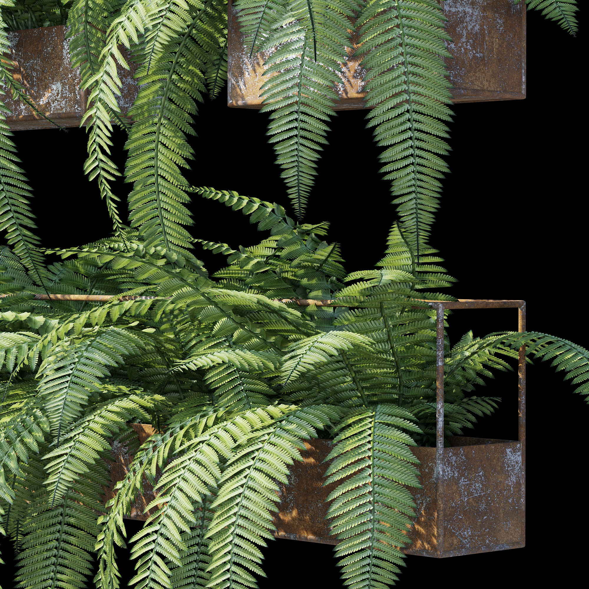 Planter box fern 3D model_12