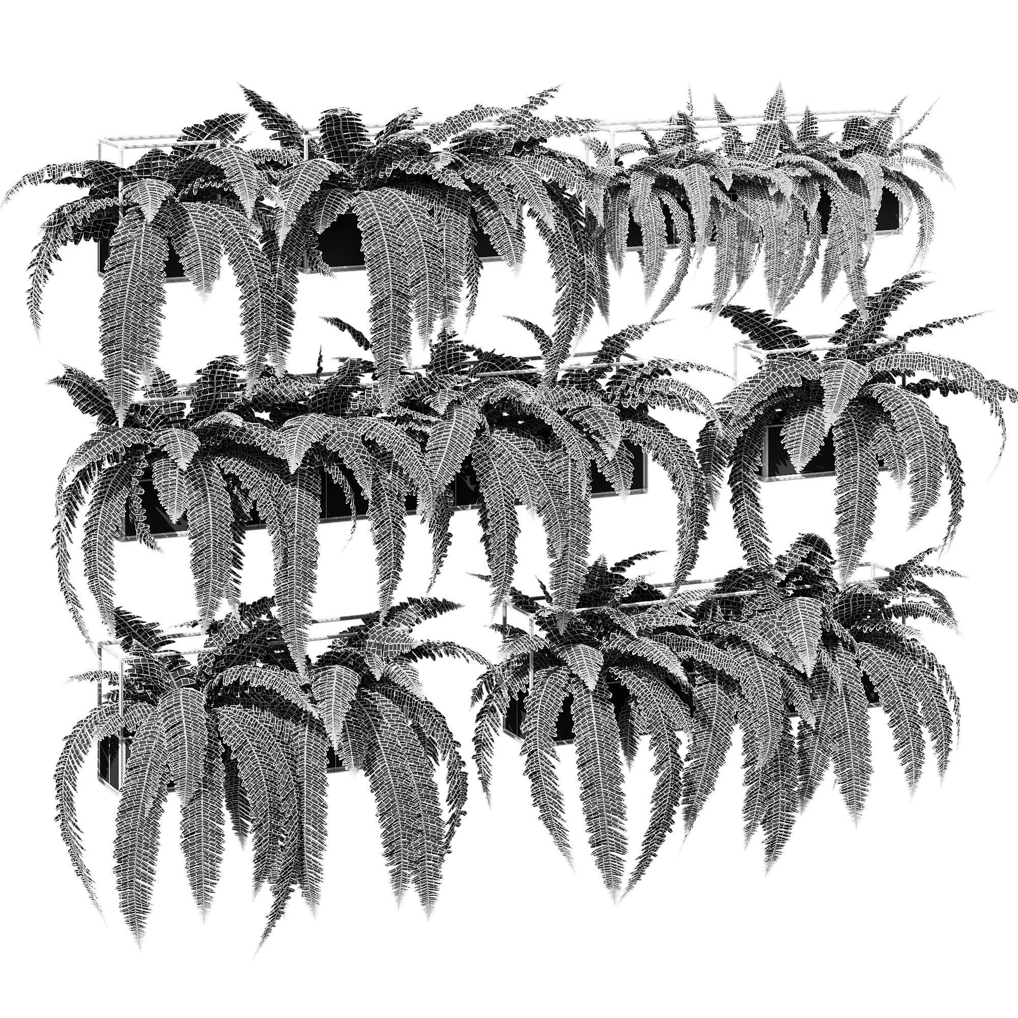 Planter box fern 3D model_6