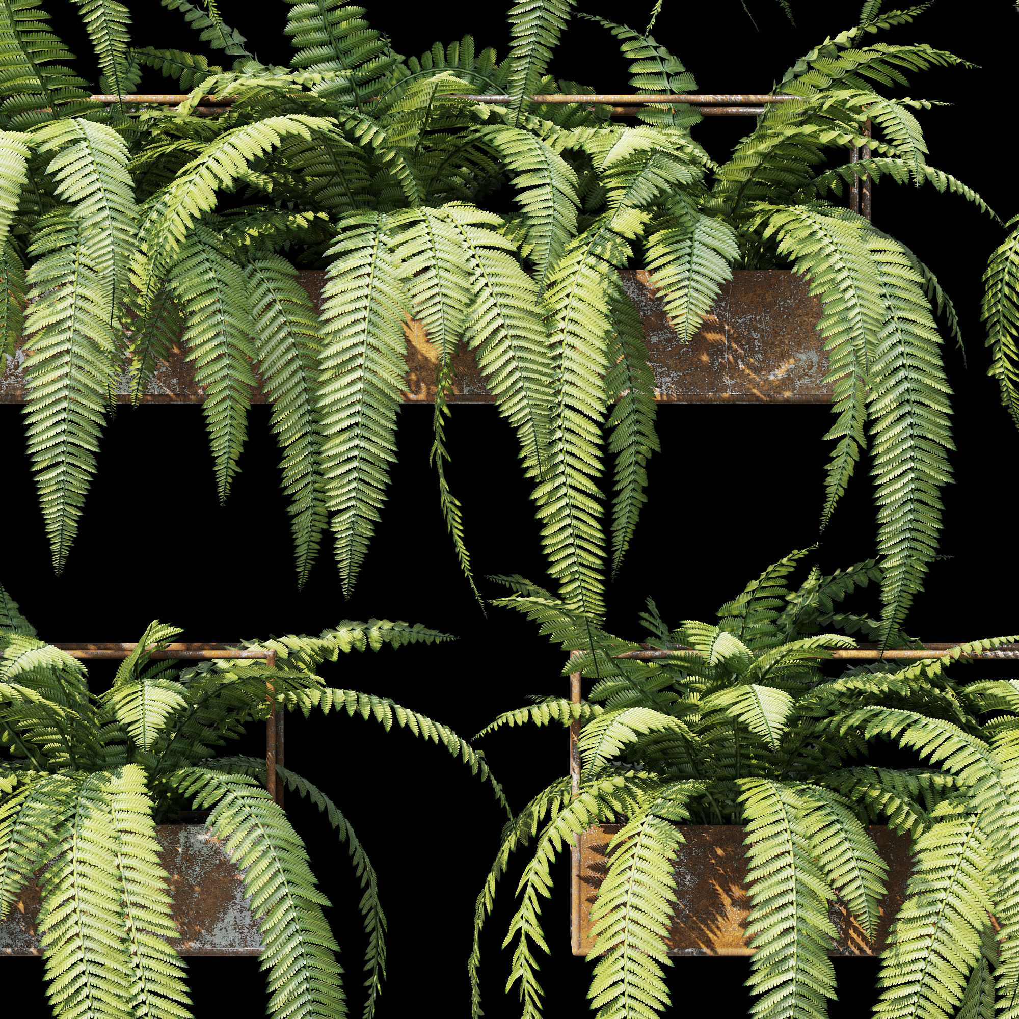 Planter box fern 3D model_11