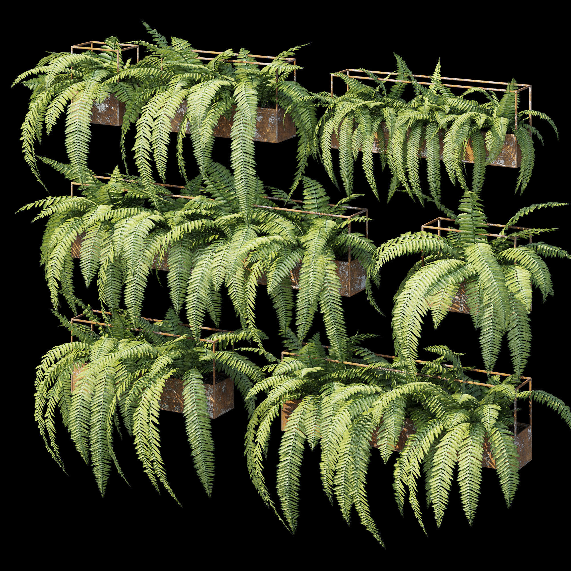 Planter box fern 3D model_10