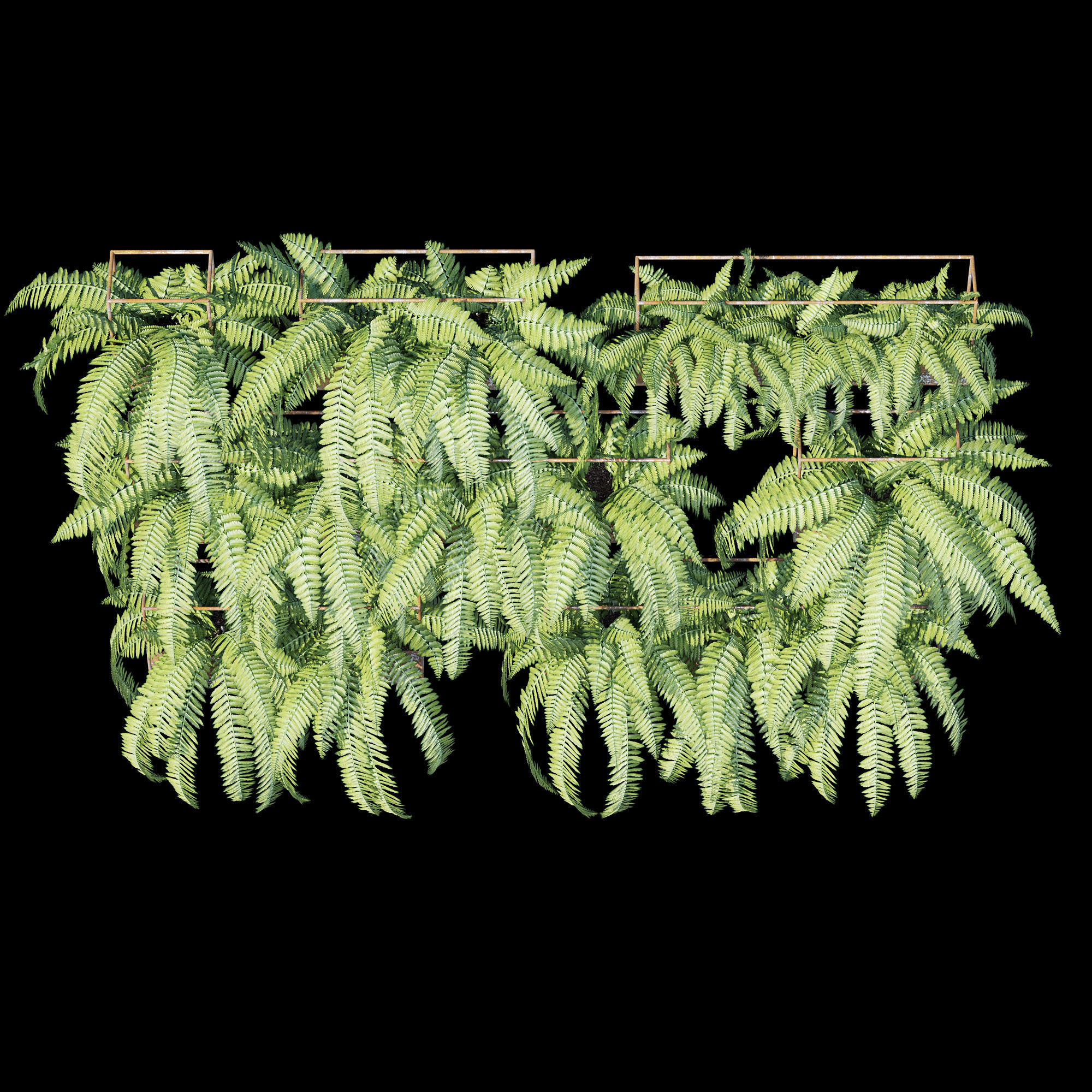 Planter box fern 3D model_8