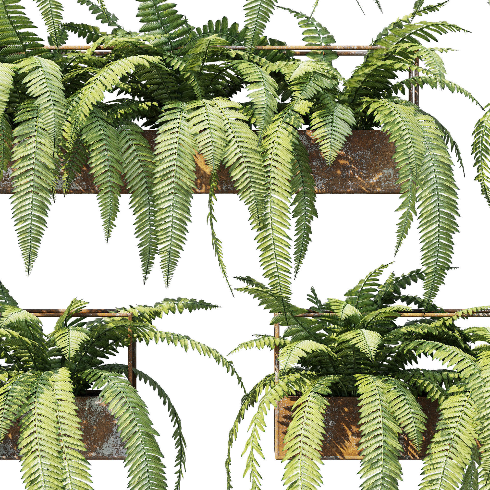 Planter box fern 3D model_4