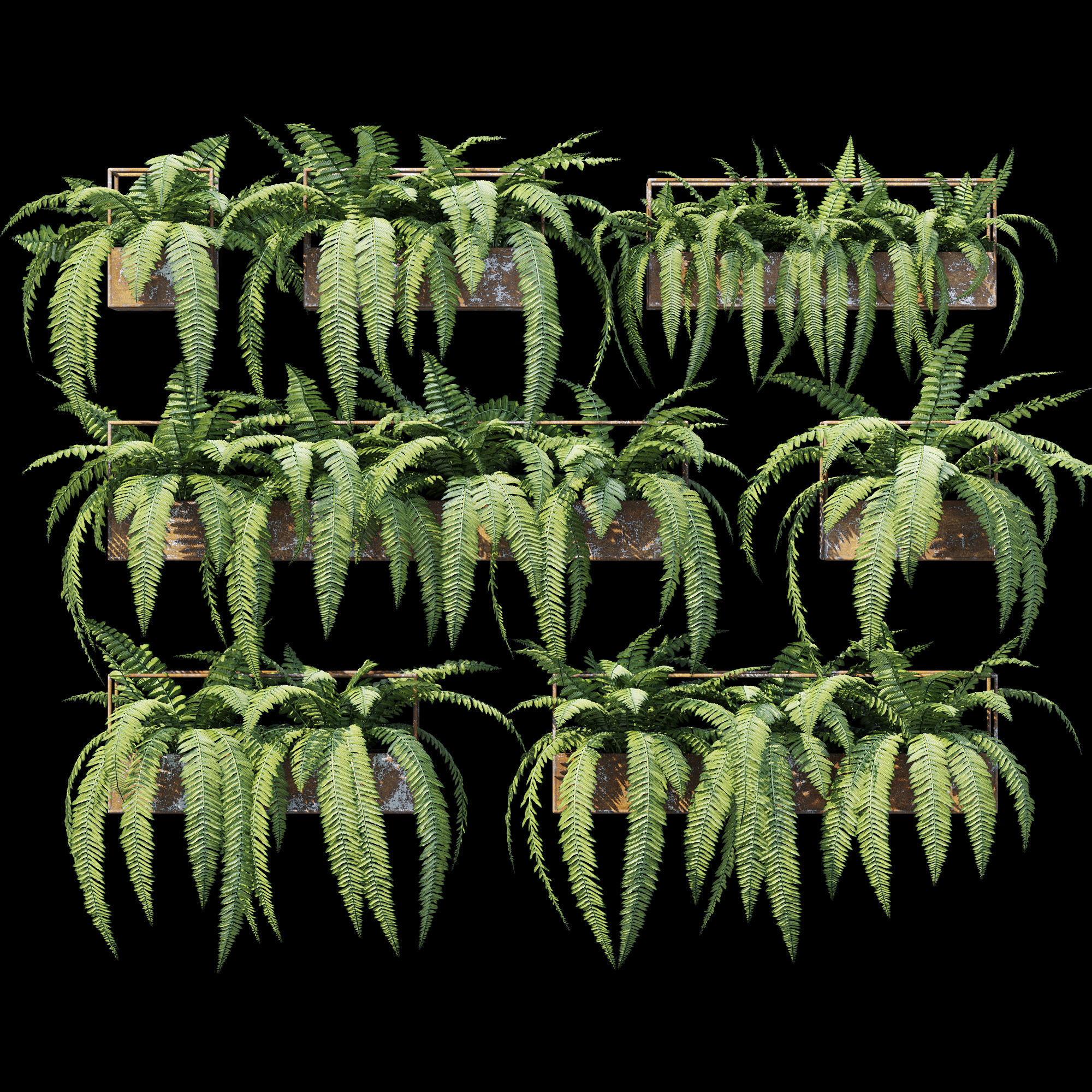 Planter box fern 3D model_7