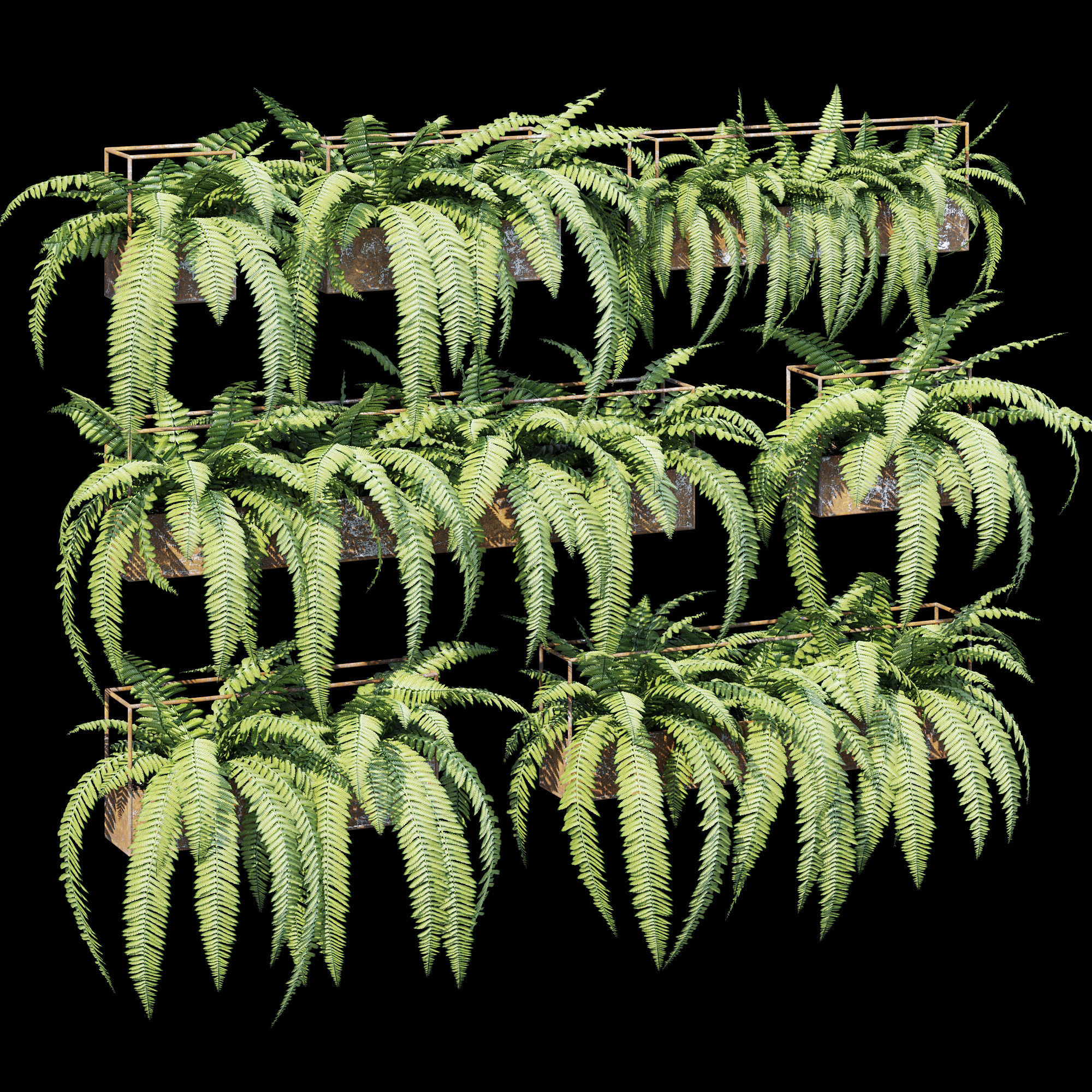 Planter box fern 3D model_9