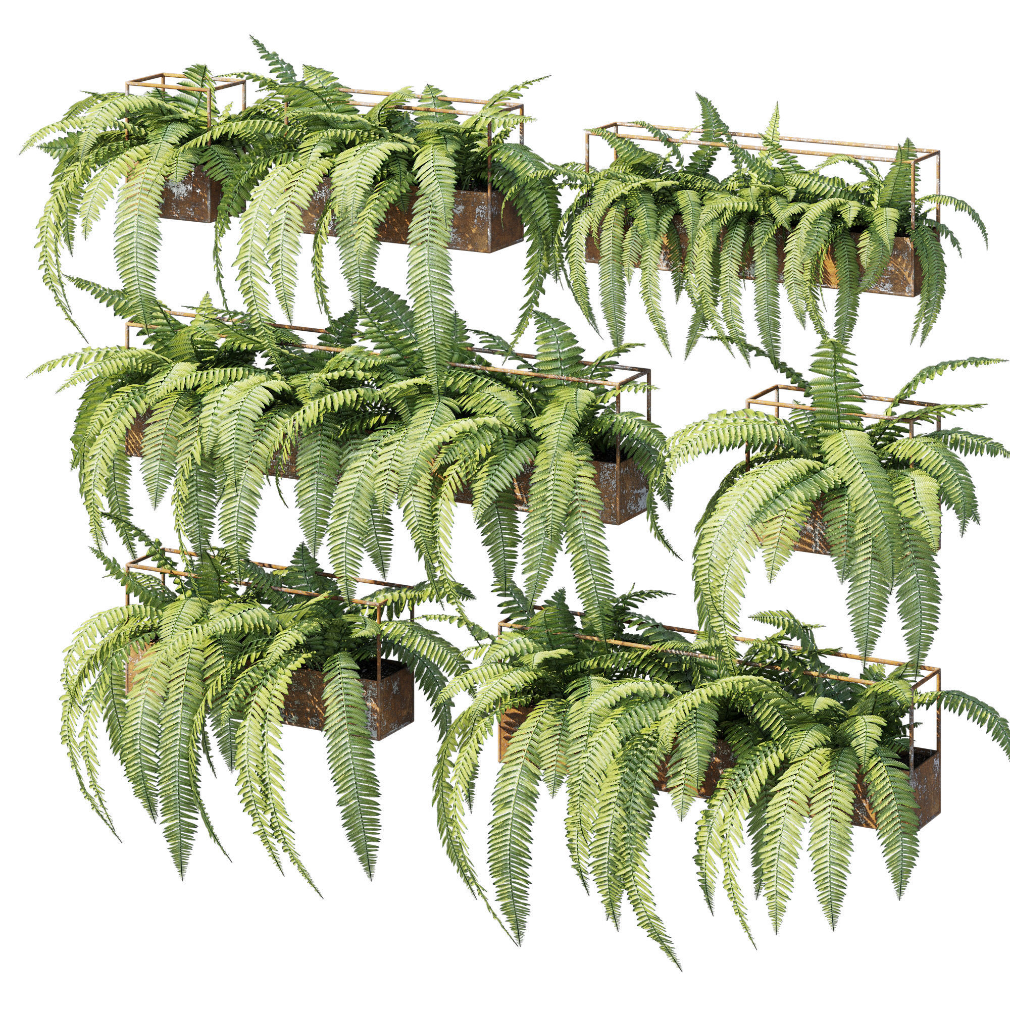 Planter box fern 3D model_2