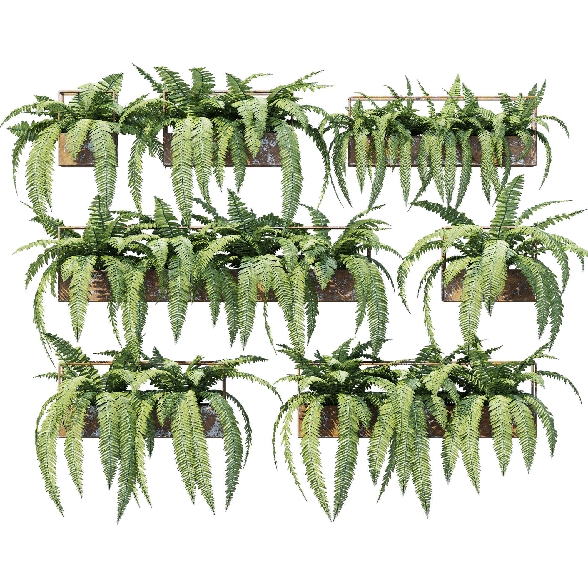 Planter box fern 3D model_1