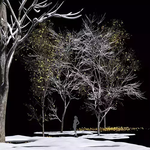 Real Tree Acer Saccharinum Winter Snow 3D model
