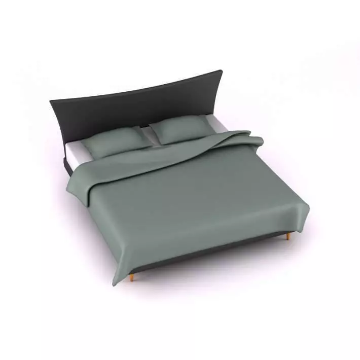 Black Wooden Platform Bed 3D model_0