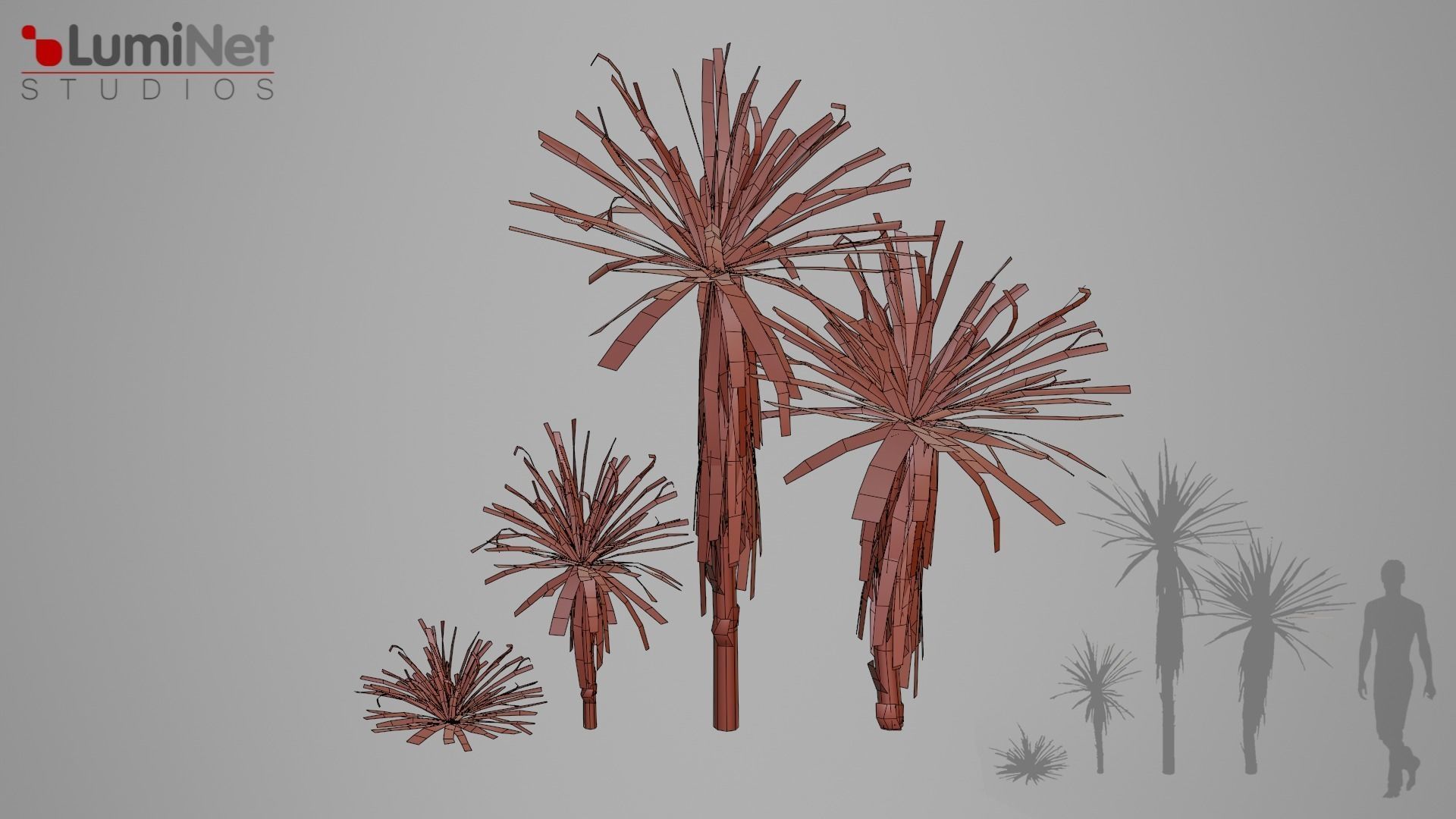 Yucca Desert foliage 25 of 25 Low-poly 3D model Low-poly 3D model_1