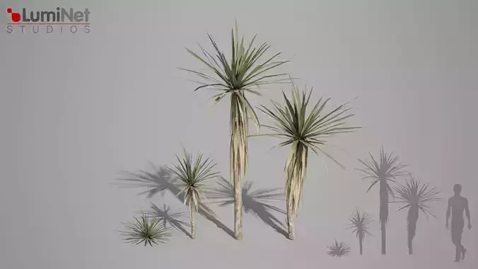 Yucca Desert foliage 25 of 25 Low-poly 3D model Low-poly 3D model