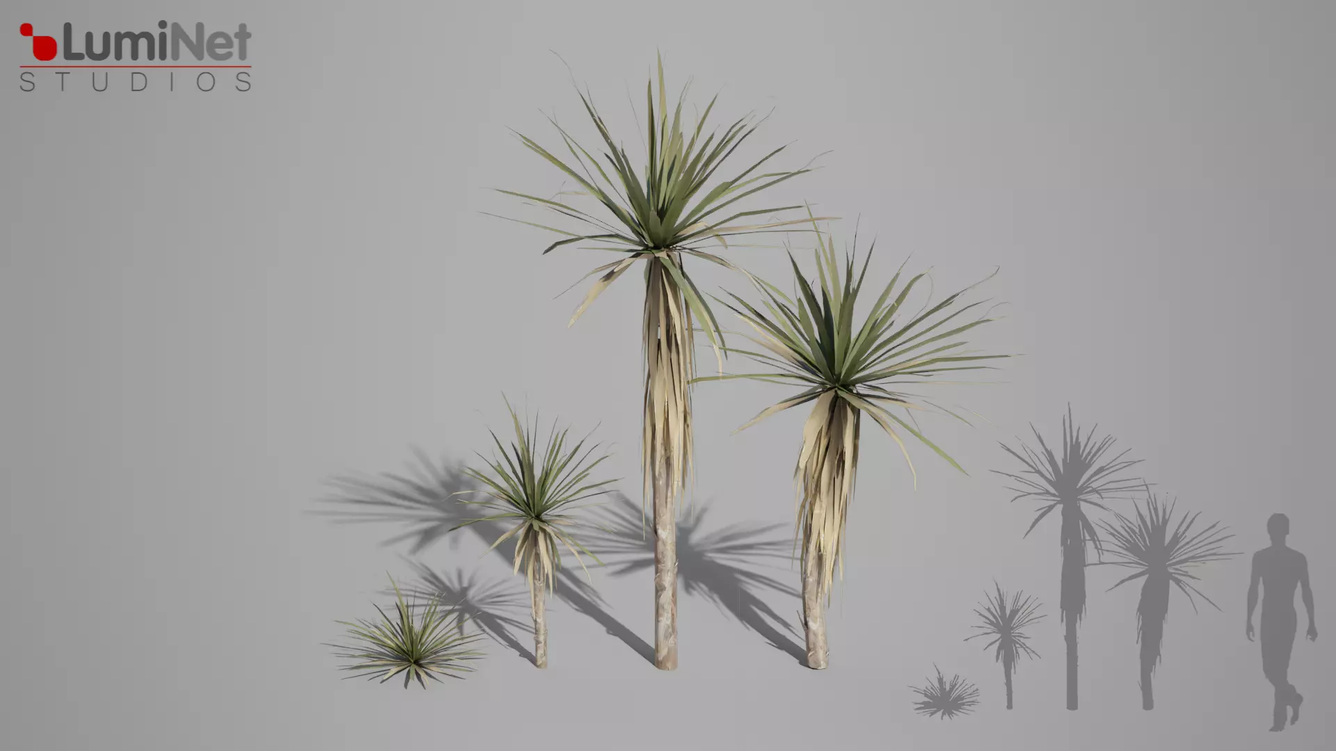 Yucca Desert foliage 25 of 25 Low-poly 3D model Low-poly 3D model_0