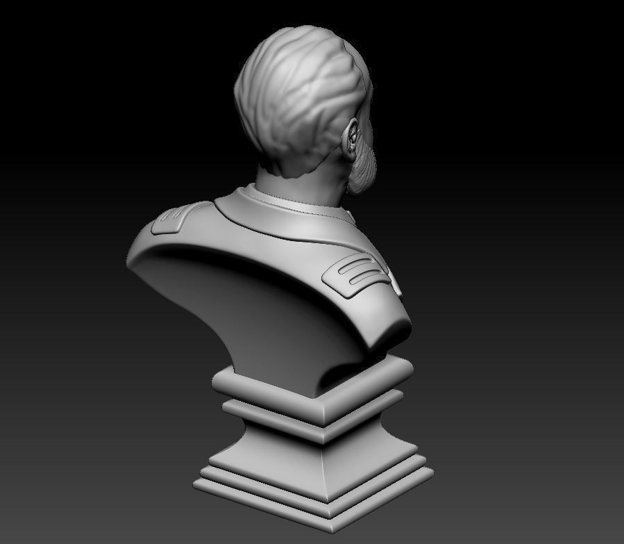 Miguel Grau Bust 3D print model_12
