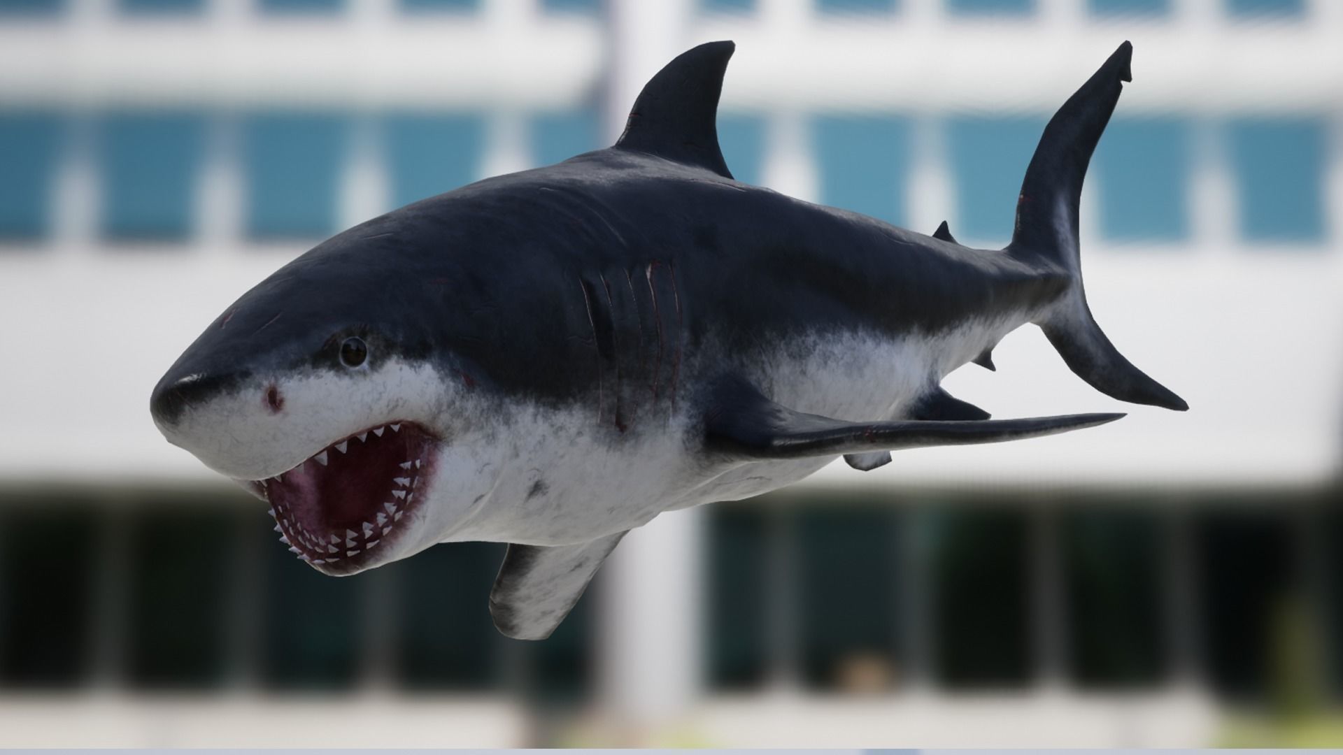 Megalodon Low-poly 3D model_12