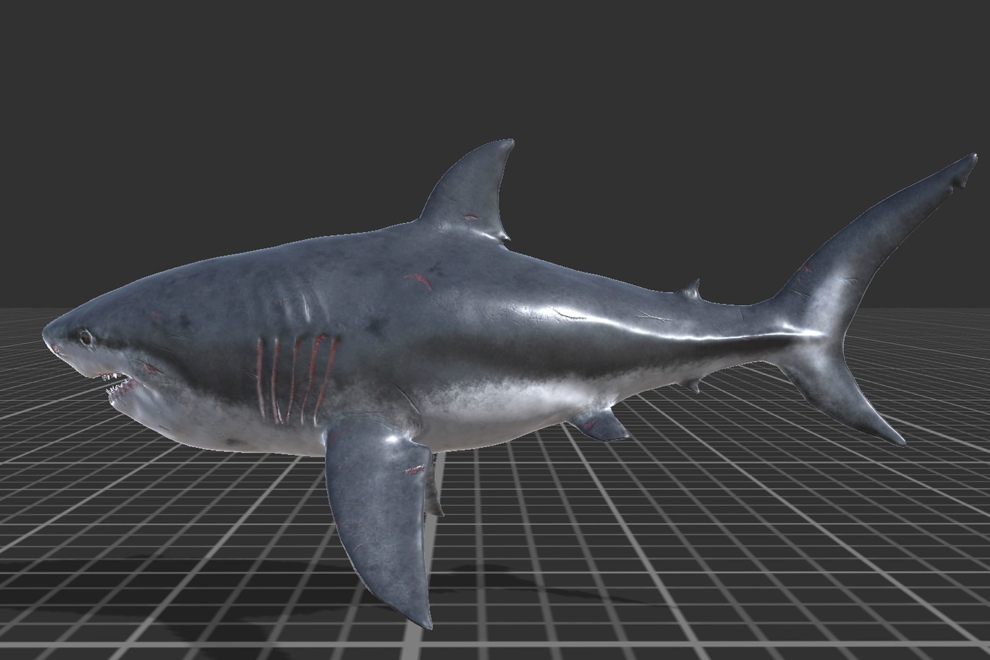 Megalodon Low-poly 3D model_3