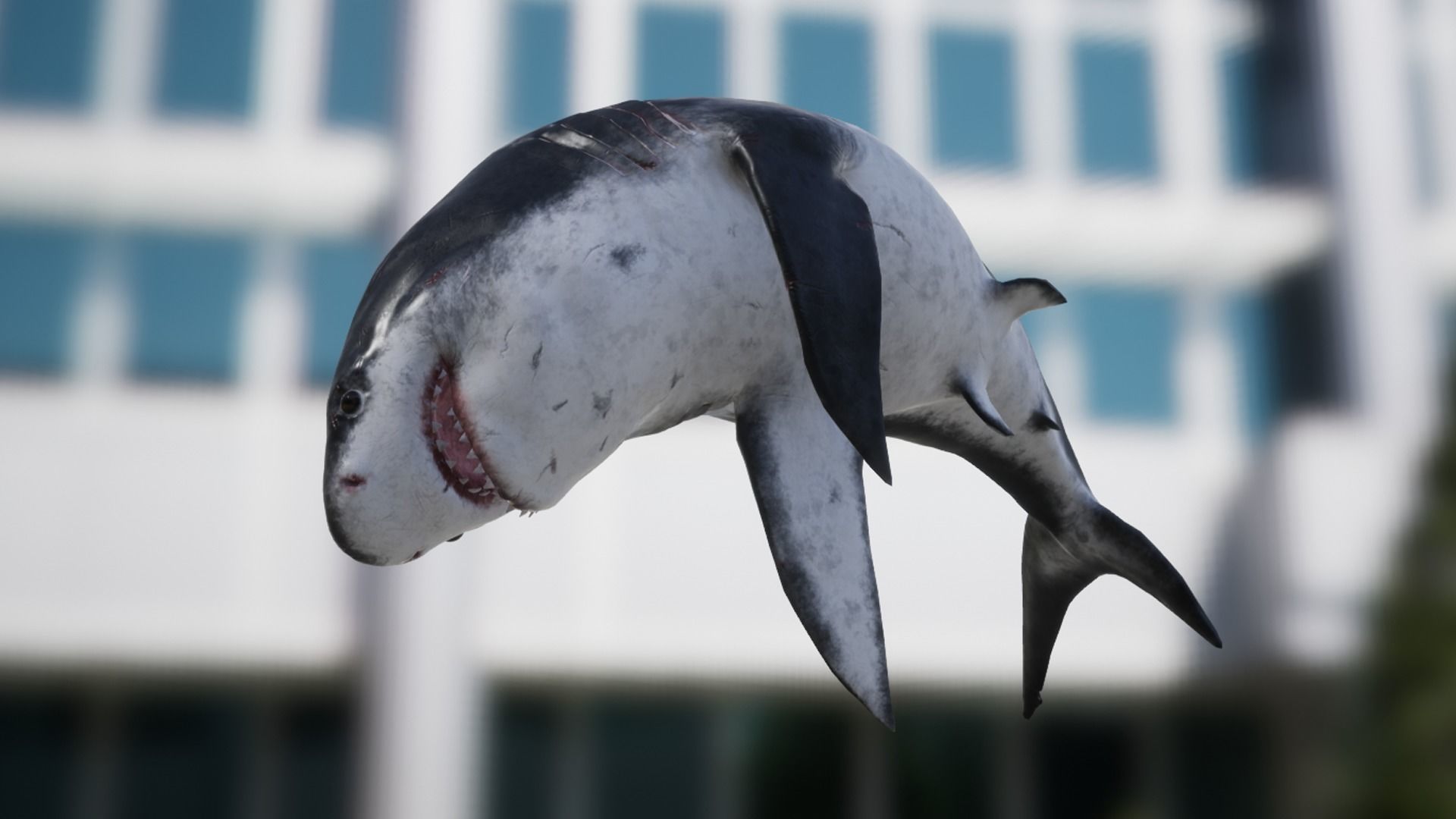 Megalodon Low-poly 3D model_13