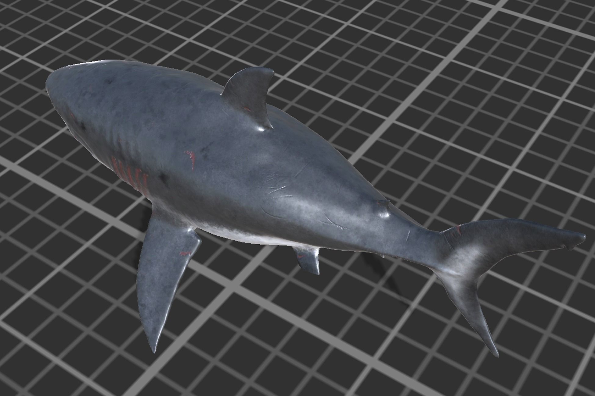 Megalodon Low-poly 3D model_5