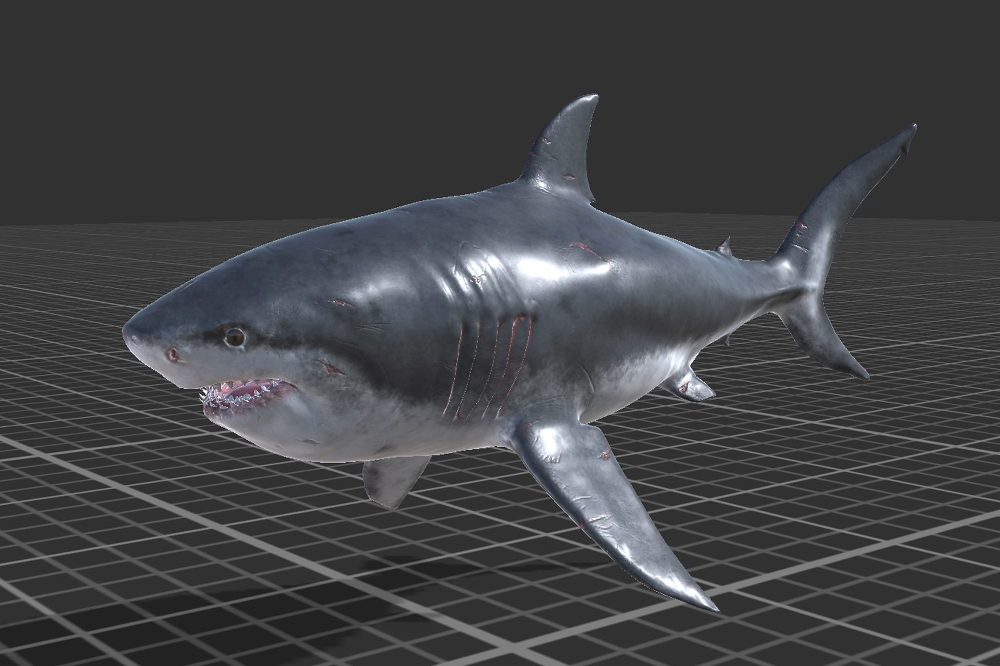 Megalodon Low-poly 3D model_4