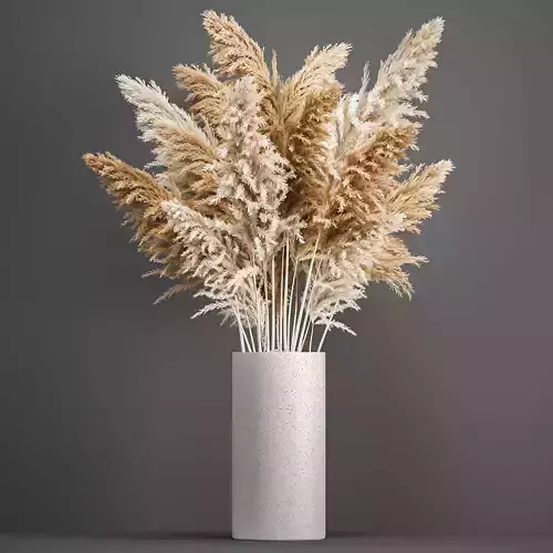 Decorative Bouquet of dried pampas grass 192