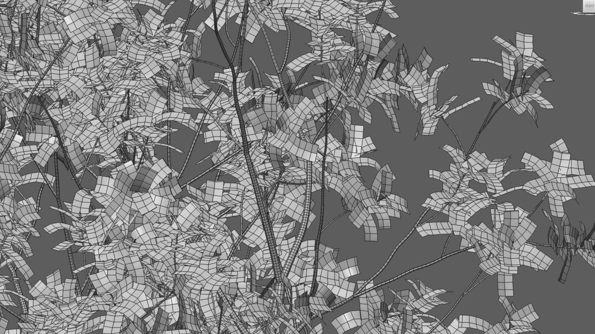 Barringtonia acutangula - fall 3D model_4