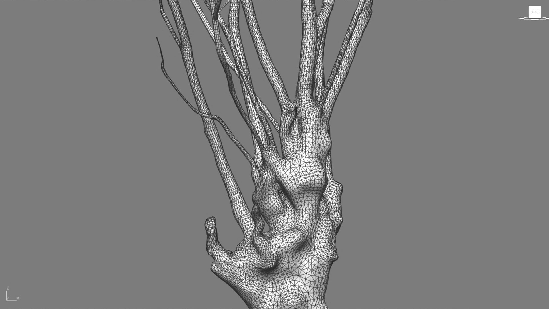 Barringtonia acutangula-green 3D model_1