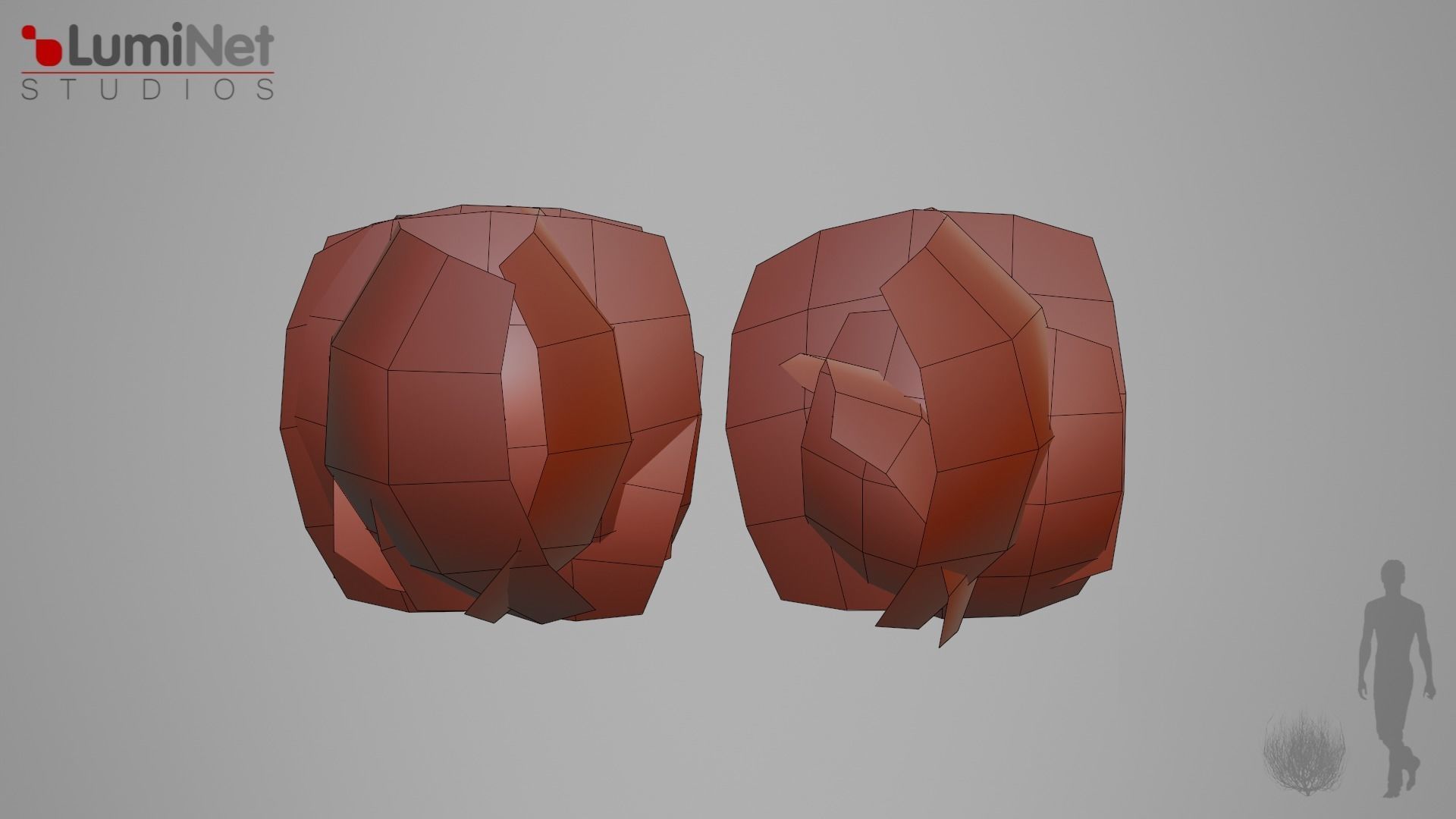 Thumbleweed 2 Desert foliage 24 of 25 Low-poly 3D model Low-poly 3D model_1