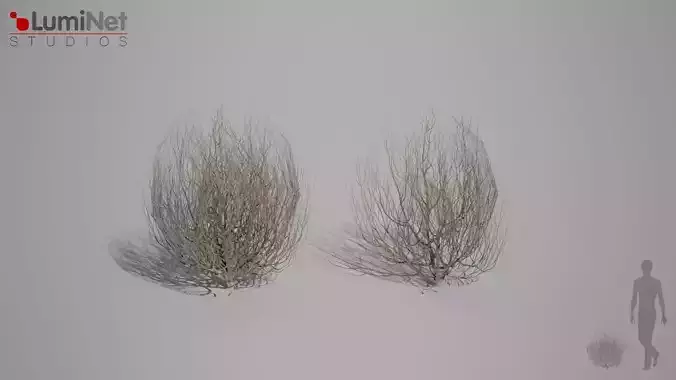 Thumbleweed 2 Desert foliage 24 of 25 Low-poly 3D model Low-poly 3D model