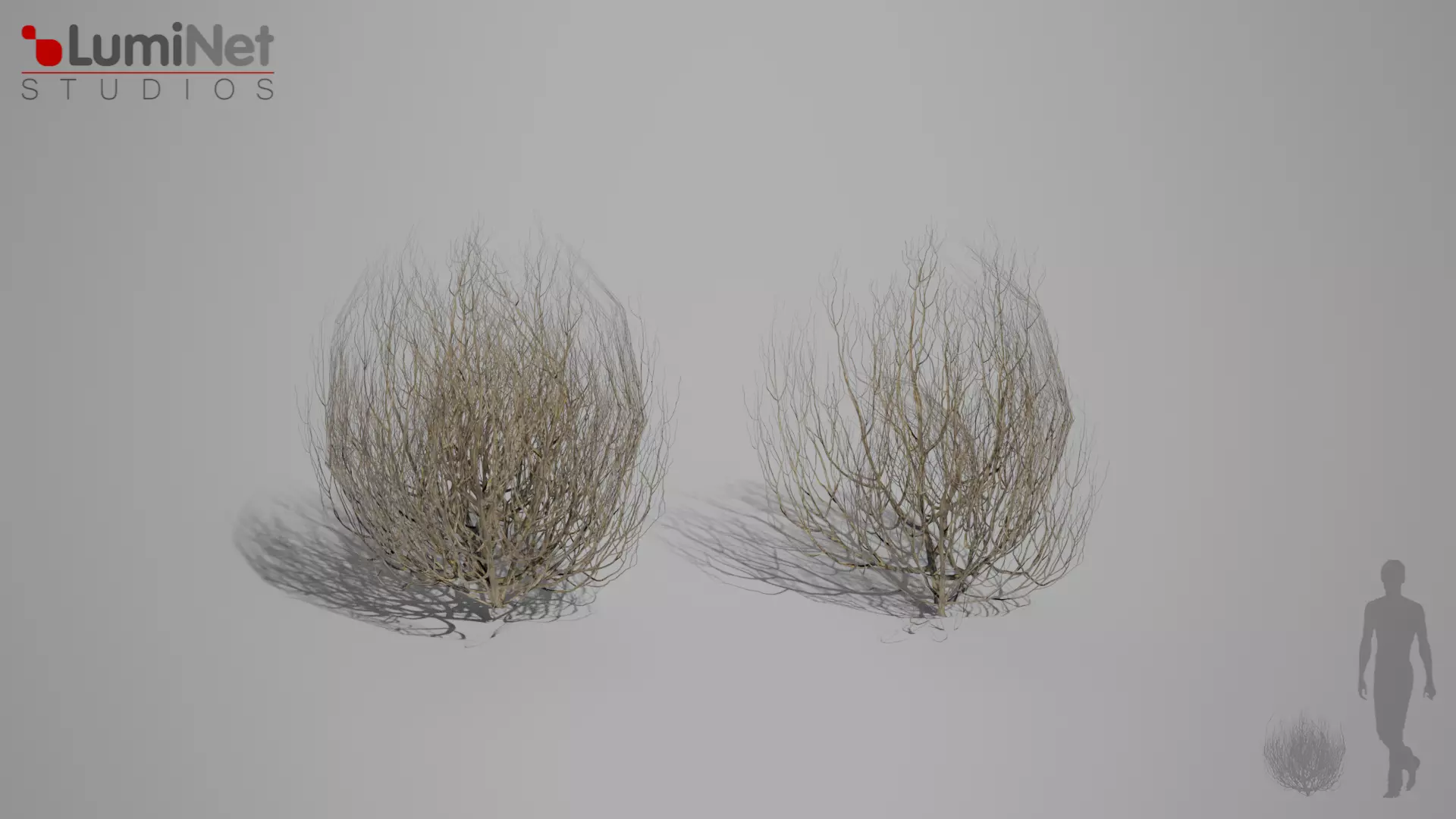 Thumbleweed 2 Desert foliage 24 of 25 Low-poly 3D model Low-poly 3D model_0